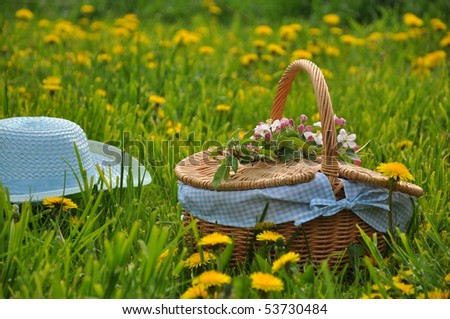 Similar – Wunderschöne Sommerszene mit Blumenstrauß der Kamille