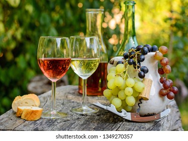 Picnic and wine tasting outdoors