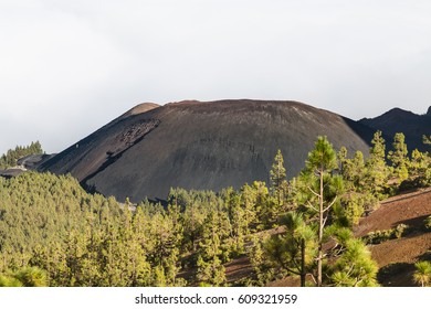 Volcan De Arafo High Res Stock Images Shutterstock