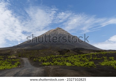 Pico do Fogo (2829m) with lush plants on an ash field
