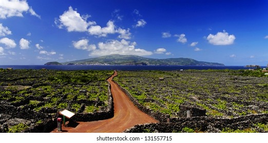 The Pico vineyards inscribed on the World Heritage List, Pico island, Azores,