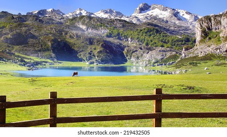 Picos De Europa National Park. Cantabria, Spain