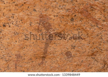 Pictographs in Namibia