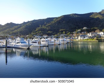 Picton Port On Sunny Day