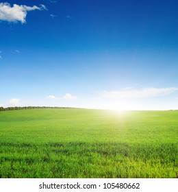 Pictorial Field And Blue Sky