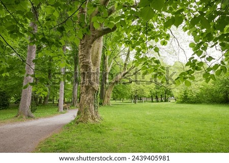 pictorial walkway through spa garden Bad Aibling at springtime. landscape upper bavaria in may. linden tree branches