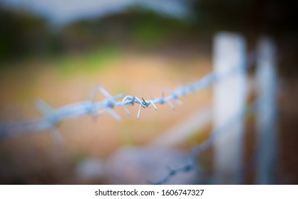 define barbed wire