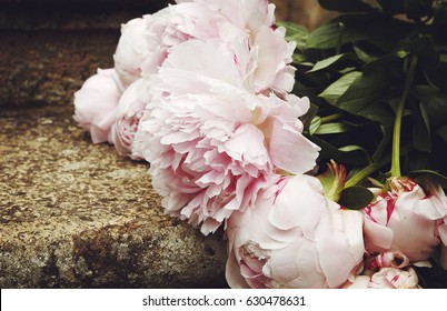 Picture of beautiful bright bouquet of peonies
