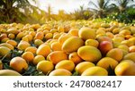 A picture of Beautiful Ripe Yellow Mangoes lying on the ground with a Beautiful Background and Morning Sun rays.