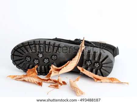 picture of a black female shoes on a wood background