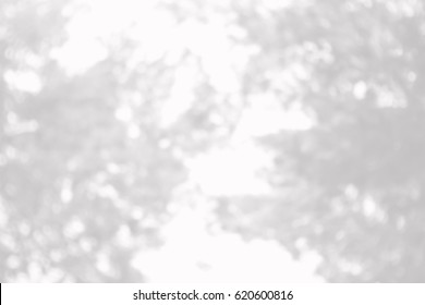 Picture blurred  for background abstract and can be illustration to article of forest trees - Shutterstock ID 620600816