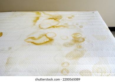 Picture Of A Child's Urine Stain On A White Mattress. Cause Stains On The Mattress