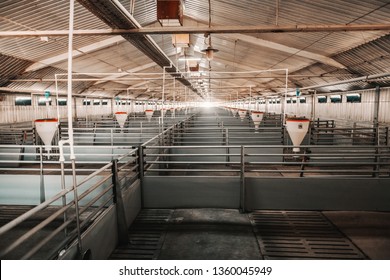 Picture Of Clean Empty Pig Stall.