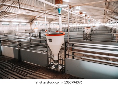 Picture Of Clean Empty Pig Stall.