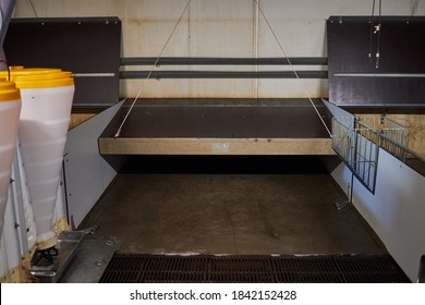 Picture Of Clean Empty Pig Stall.