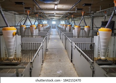 Picture Of Clean Empty Pig Stall.