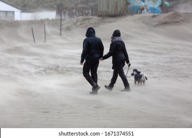 picture of a couple walking with a dog at the leash over a beach during strong storm