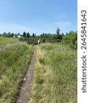 Picture of deer on trail