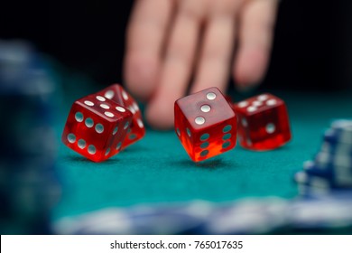 Picture of dice, chips, palm in casino on green table