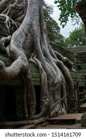 A Picture Of A Famous Place Of Tomb Rider Film In The Temple Ruins Of Angkor In Cambodia