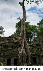 A Picture Of A Famous Place Of Tomb Rider Film In The Temple Ruins Of Angkor In Cambodia