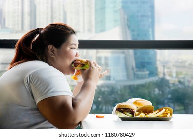 Picture of fat woman eating a hamburger in the restaurant while sitting by the window