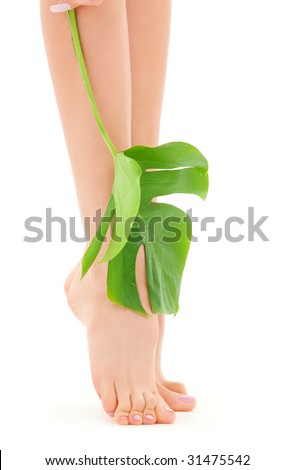 picture of female legs with green leaf over white
