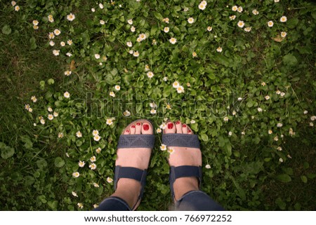 Similar – Feet of a woman wearing sandals