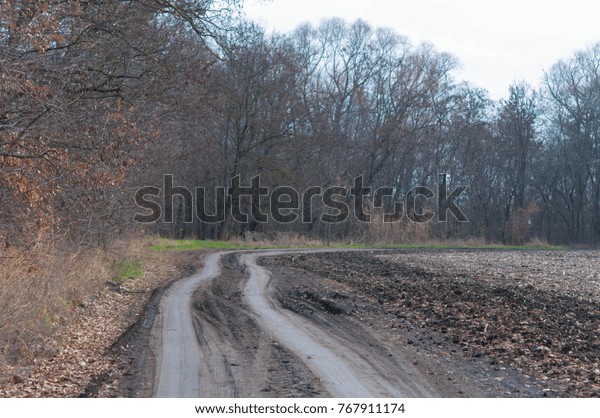 Picture with field, forest and dirty car track\
with puddle and mud in cold autumn\
day