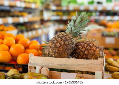 Picture Of Fresh Variety Pineapples On Counter In Food Market, No People.