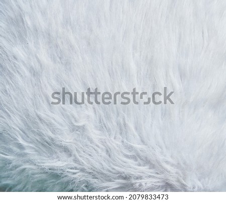 Picture of fur texture image