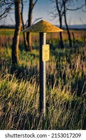 Picture Of A Gas Pole Taken In The Field
