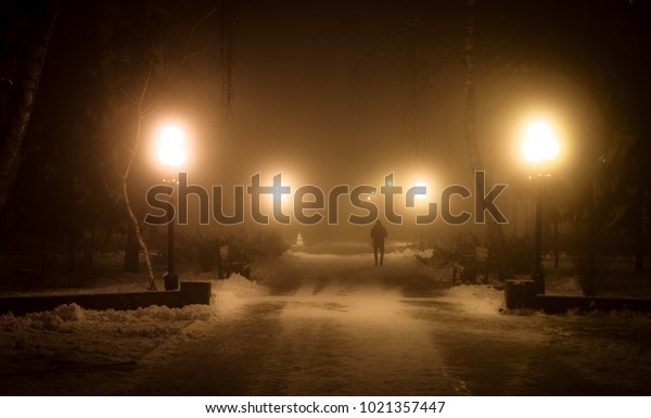 Picture of gloomy night with street lights and\
fog. Low light image.