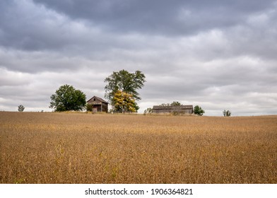 A Picture Of Iowa Farmland.