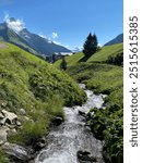 Picture made during a hike in the alps including a little river and a beautiful view