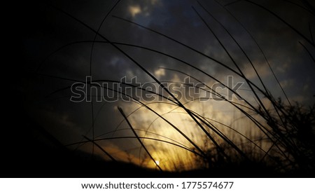 Similar – Image, Stock Photo Let the grass grow over it…