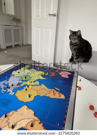 A picture of my cat playing the board game Risk planning his world domination