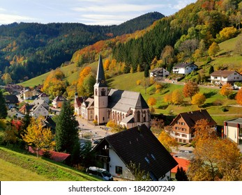 Picture in nature, autumn colours in Black Forest region, Bas Peterstal-Griesbach, Germany 