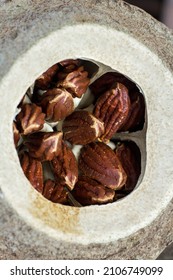 Picture Of Open Brazilian Nut Pod, With Nut Inside