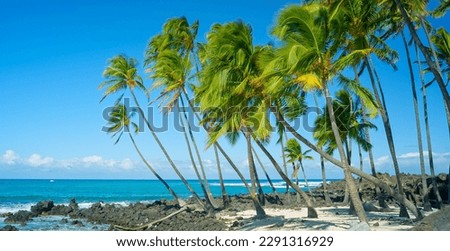 Picture Perfect Coastline Seascape With Palm Trees Blowing In Breeze