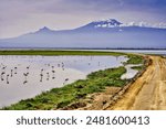 Picture perfect scene of the Mount Kilimanjaro with bright blue skies over serene Lake Amboseli, flamingos and safari trails at Amboseli National Park, Kenya