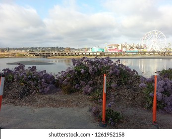 Picture Of The San Diego County Fair With Lagoon In The Nearground