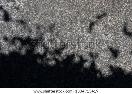 Similar – Image, Stock Photo Shadow of the Tree Summer