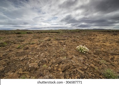 The Picture Shows A Barren Landscape In Iceland.