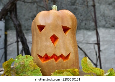 The Picture Shows An Evil Spirit For Halloween, Created From A Pumpkin, Which Had Eyes And An Evil Mouth Cut Out And Placed On Leaves.