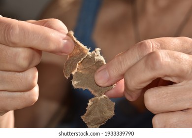 The Picture Shows Female Hands.  Needlework, Creating A Working Mass Of Papier-mâché From Pieces Of Loose Paper.