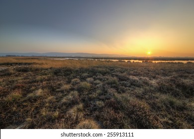 The Picture Shows A Peat Bog At Sunset.