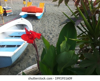 The picture shows a section of the beach of a boat rental company. The beach is light and fine-grained. In the foreground you can see a red flower. Colorful boats can be seen in the background.