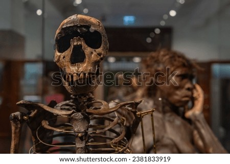 A picture of a Skeleton of an Ancient Human at the Natural History Museum of Oslo.