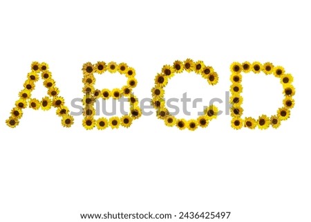 Picture of sunflowers arranged in the form of ABCD letters isolated on white background.